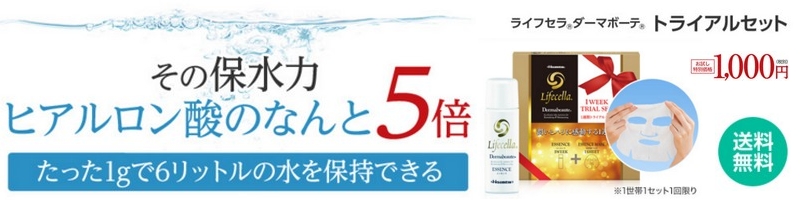 ���C�t�Z���_�[�}�{�[�e���T�C�g